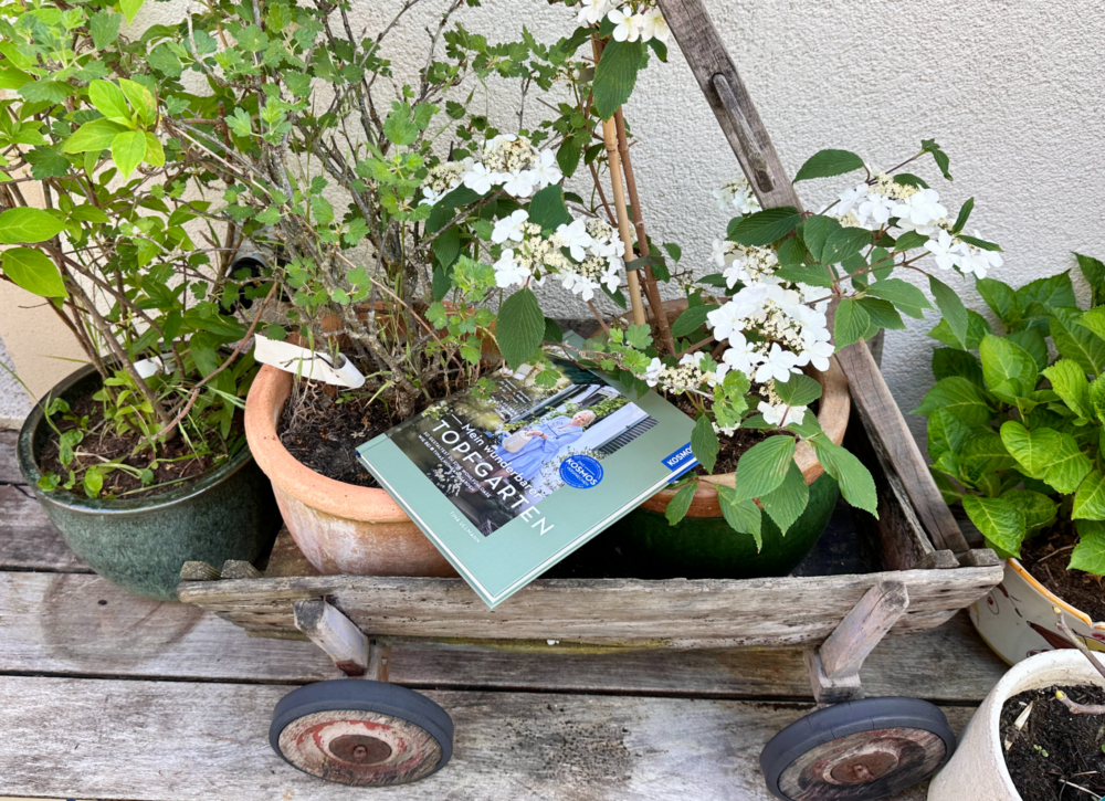 Mein wunderbarer Topfgarten – Bücherliebe im Mai