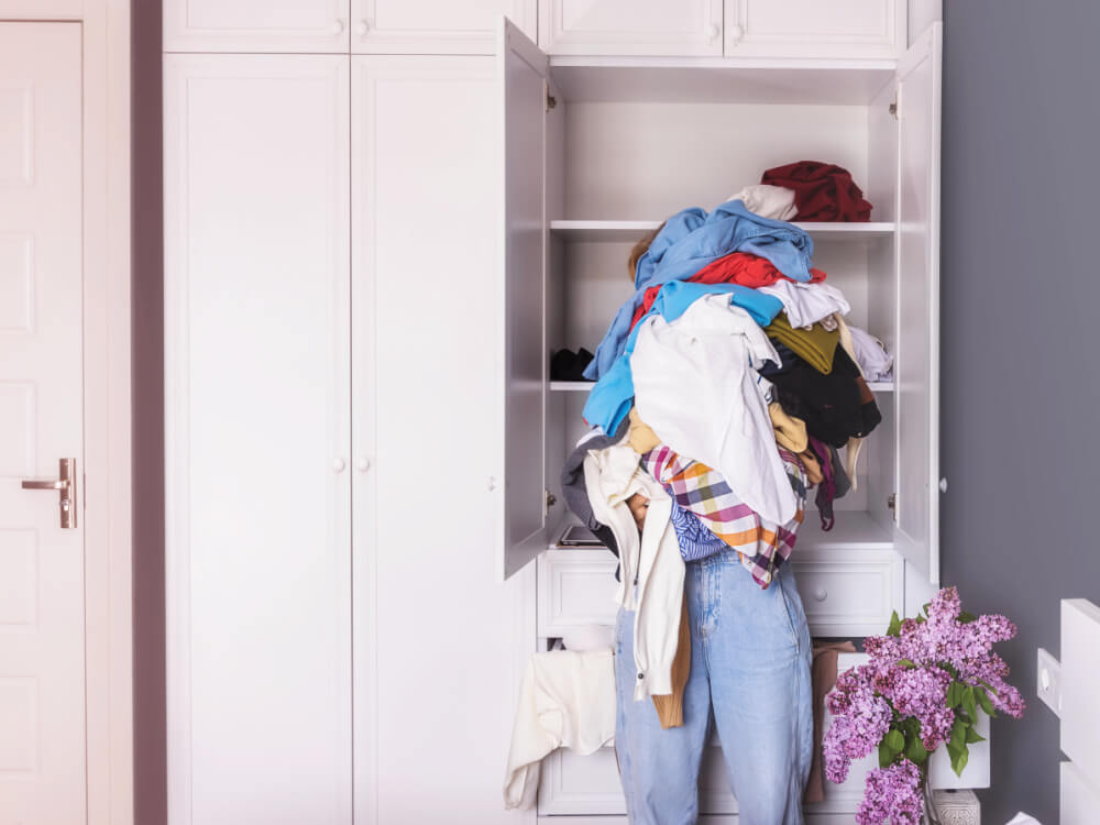 Fly Lady vs. Simplify Your Life